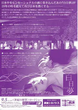 热播电视剧全集更新节奏分析